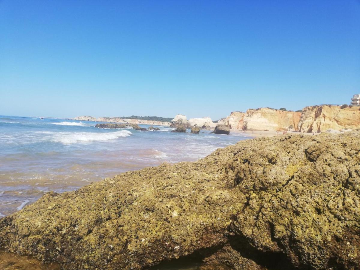 Rocha Praia Mar Beach Front Line Bay Portimão Eksteriør bilde